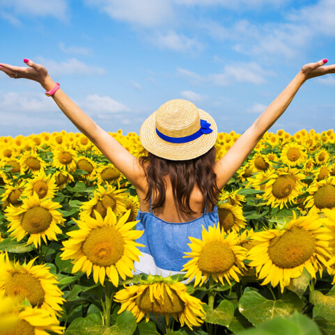A happy, beautiful young girl in a straw hat is standing in a large field of sunflowers. Summer time. Back view.
